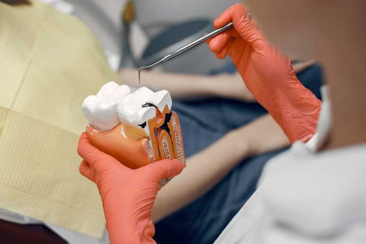 Ipacsa Dental Inicio